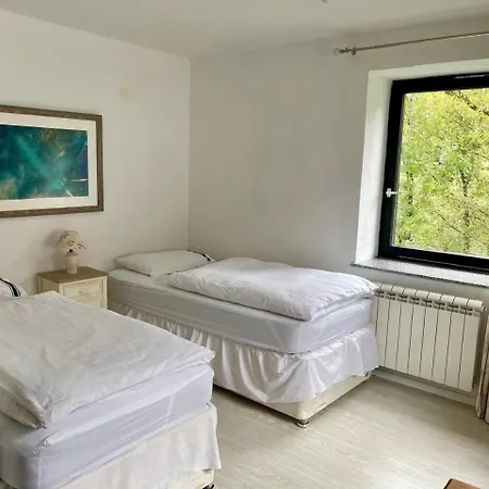 Hisa Pelance טולמין