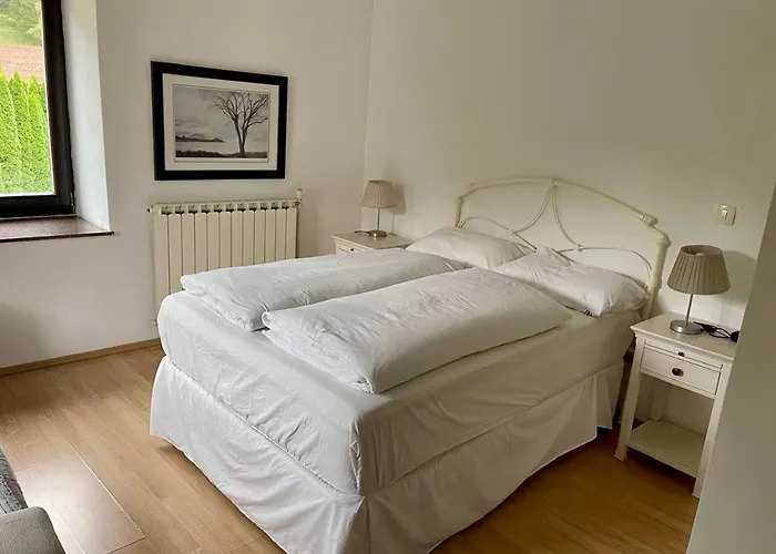 Hisa Pelance Casa vacanze Tolmin